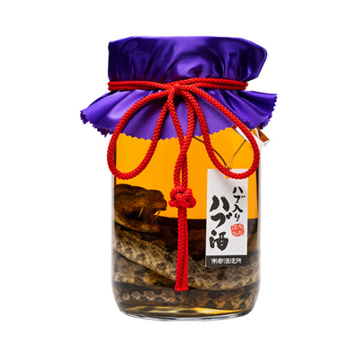 M_01--G_04-03--J_4518989000189