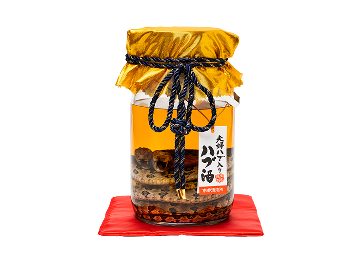 M_01--G_05-01--J_4518989000912