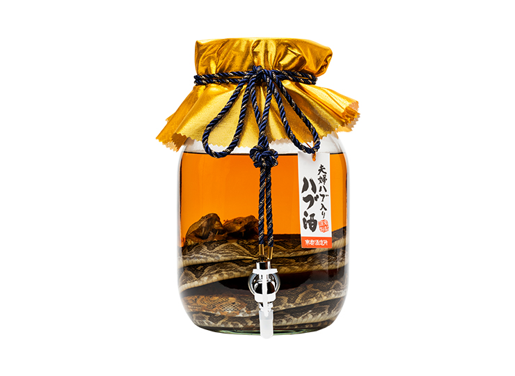 M_01--G_06-01--J_4518989092481