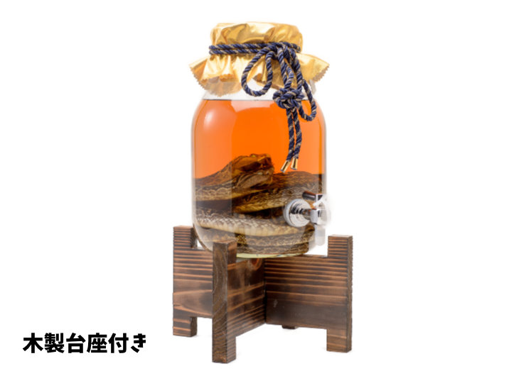 M_01--G_06-01--J_4518989092481