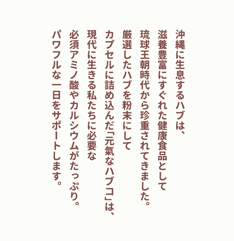 沖縄に生息するハブは、滋養豊富にすぐれた健康食品として琉球王朝時代から珍重されてきました。厳選したハブを粉末にしてカプセルに詰め込んだ「元氣なハブコ」は、現代に生きる私たちに必要な必須アミノ酸やカルシウムがたっぷり。パワフルな一日をサポートします。