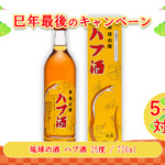 bnr_CP_2025-DM-Winter_M_01-01-