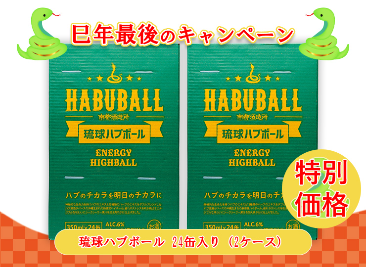 CP_2025-DM-Winter--M_04--S_10--J_4518989101558