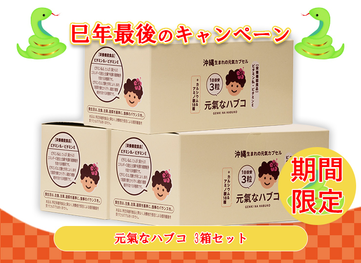 CP_2025-DM-Winter--M_08--G_17-01--J_4518989106324