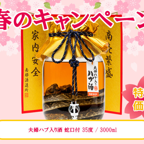 M_01--G_06-01--J_4518989092481