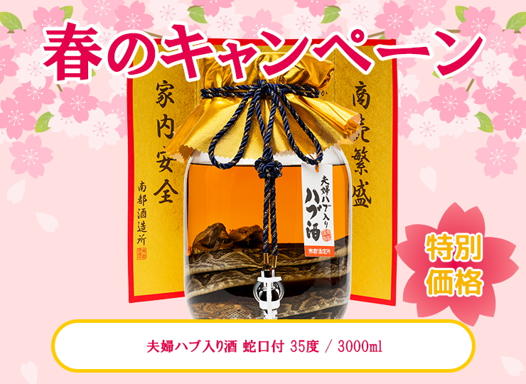 M_01--G_06-01--J_4518989092481